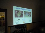 Obojživelníci a plazi